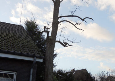 Baumpflege Warendorf